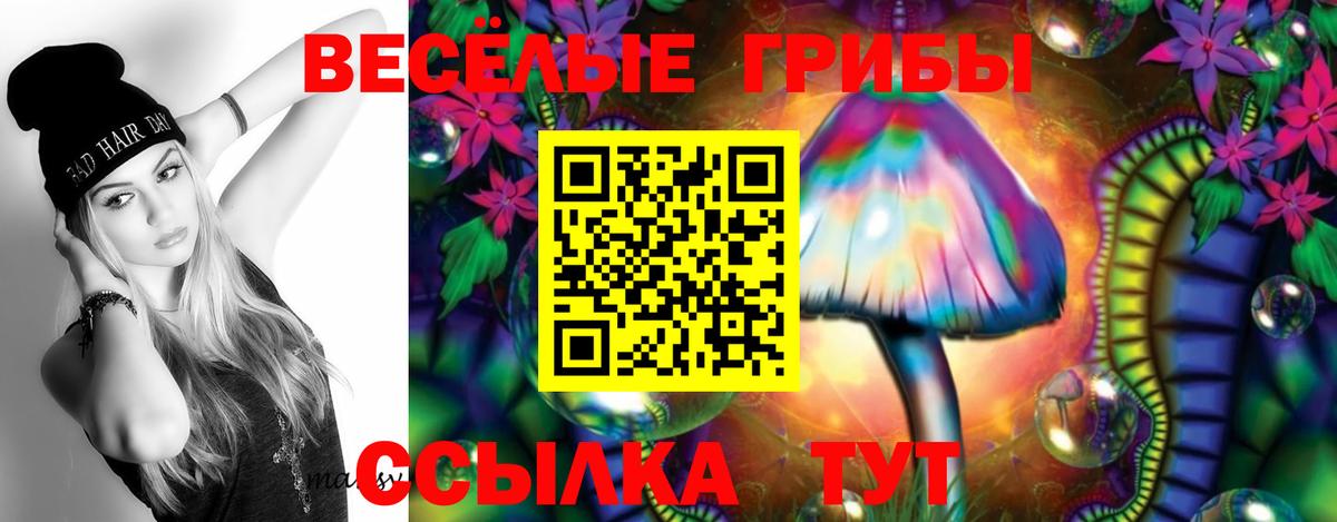 Галлюциногенные грибы прущие грибы Екатеринбург